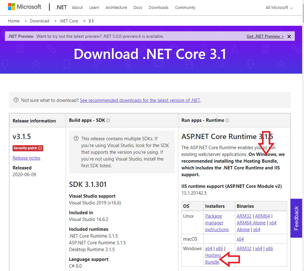 Download Windows Hosting Bundle for ASP.NET Core Runtime 3.1.5 to use with IIS