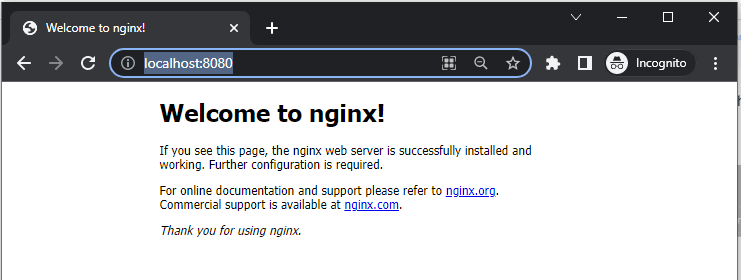 nginx page