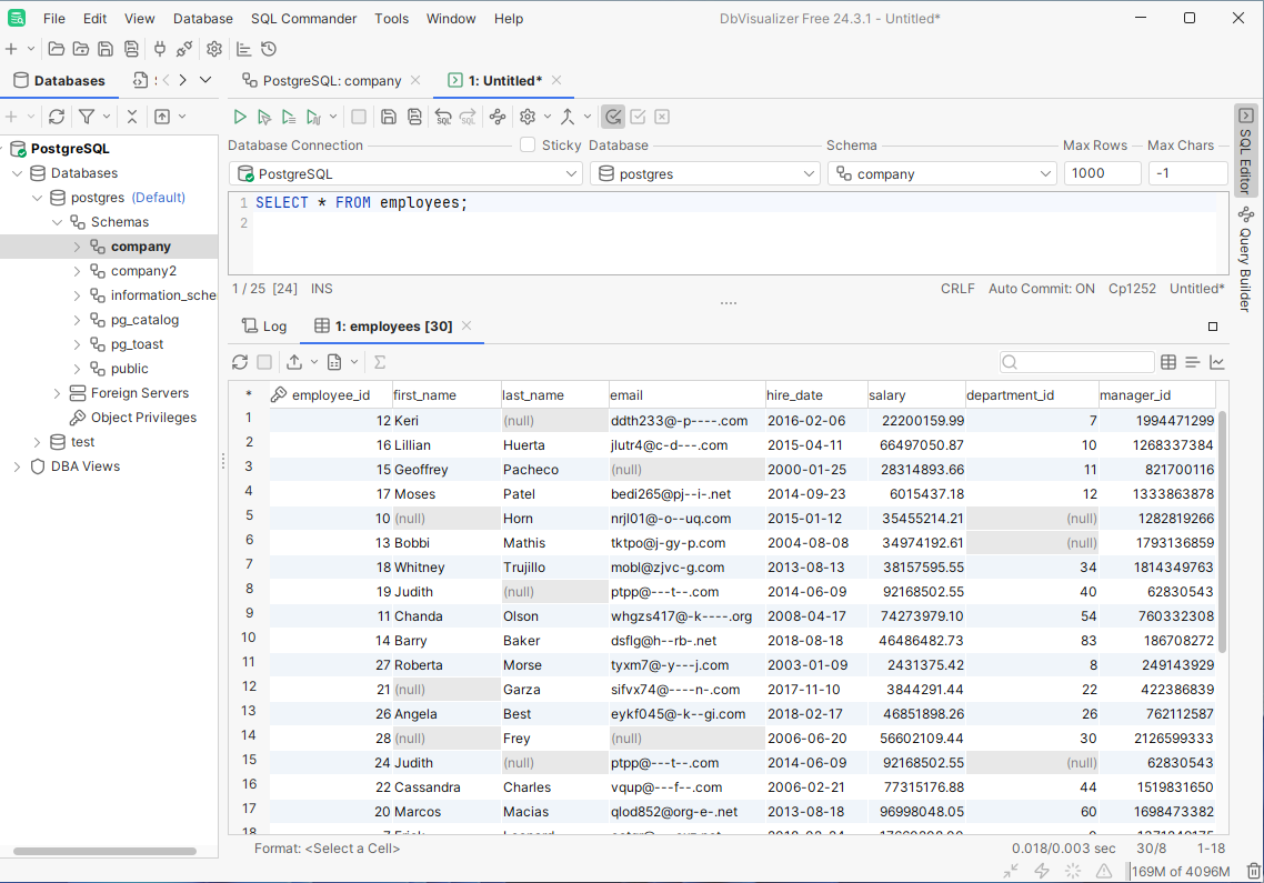 DbVisualizer Interface